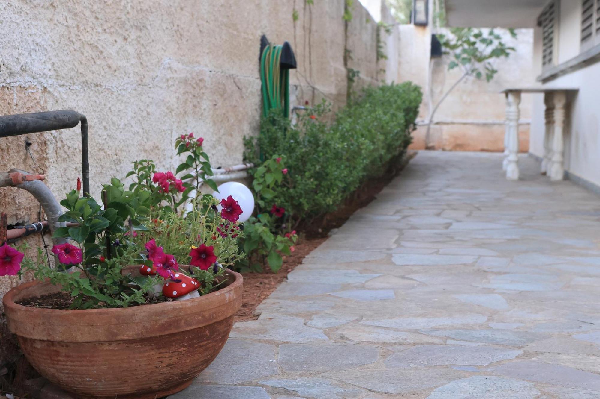 Secret Garden Home Lagonissi Attiki Foinikia  Экстерьер фото