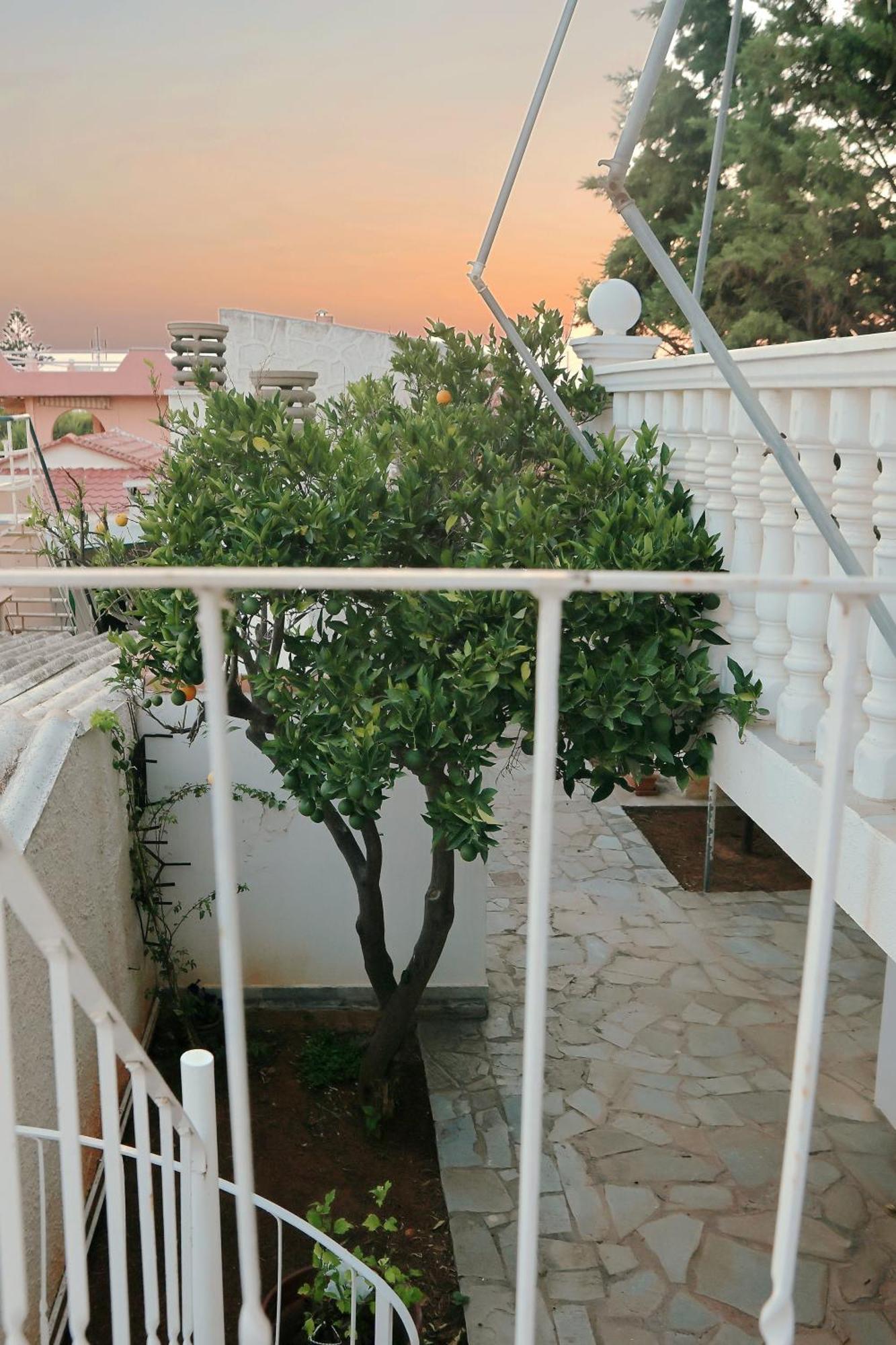 Secret Garden Home Lagonissi Attiki Foinikia  Экстерьер фото